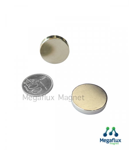 GE - Lingkaran 24 mm x 5 mm, Neodymium Magnet. Ekonomis