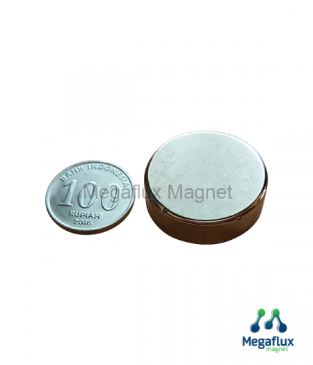 GE - Lingkaran 30 mm x 10 mm, Neodymium Magnet. Ekonomis